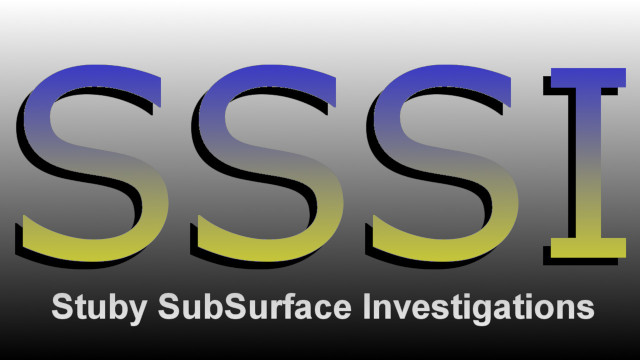 SSSI logo